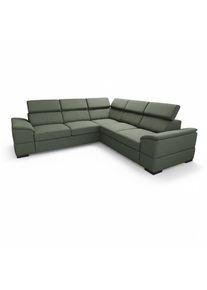 Kasvo CASTELLI 2F-ROH-2 (K25)