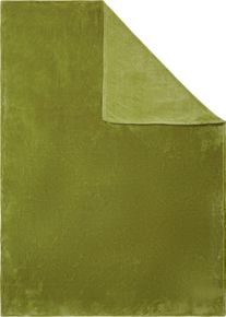 Ibena unisex Televizn&iacute; deka kiwi ,velikost 130x180 cm