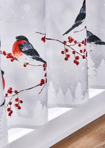 Vitr&aacute;žkov&aacute; z&aacute;clona se zimn&iacute;m motivem | Červen&aacute; | Vel. 30x90 cm | bonprix