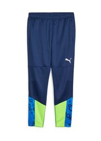 Puma Muži Sportovn&iacute; kalhoty 'IndividualCUP' modr&aacute; L