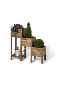 Tchibo - Truhl&iacute;kov&eacute; schody &raquo;Tinus&laquo; s polic&iacute; - barva: hněd&aacute;