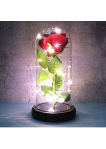Věčn&aacute; růže ve skle s LED osvětlen&iacute;m - červen&aacute;