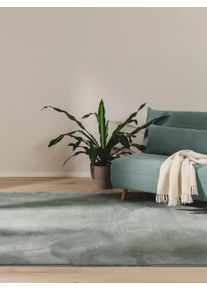 benuta Basic Uměl&eacute; kož&iacute;&scaron;kov&eacute; koberce Furry Zelen&aacute; 120x170 cm0000 Zelen&aacute; Jednobarevn&yacute;