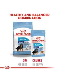 Royal Canin Maxi Puppy 4 kg + Maxi Puppy v om&aacute;čce 10&times; 140 g