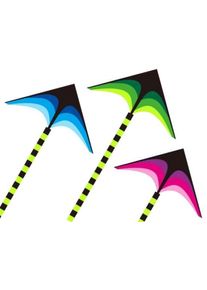 IMPAP L&eacute;taj&iacute;c&iacute; drak 140 x 65 cm - polyester - 17451