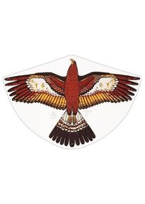 G&uuml;nther G&uuml;nther L&eacute;taj&iacute;c&iacute; drak - Orel zlat&yacute; - 92 x 62 cm - 1180