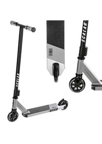 Raven Evolution Scalar Silver